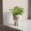 PurrPot™ | De leukste plek voor je tuinkruiden