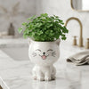 PurrPot™ | De leukste plek voor je tuinkruiden