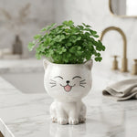 PurrPot™ | De leukste plek voor je tuinkruiden