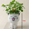 PurrPot™ | De leukste plek voor je tuinkruiden