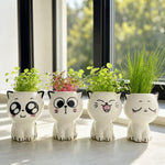 PurrPot™ | De leukste plek voor je tuinkruiden
