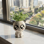 PurrPot™ | De leukste plek voor je tuinkruiden