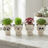 PurrPot™ | De leukste plek voor je tuinkruiden